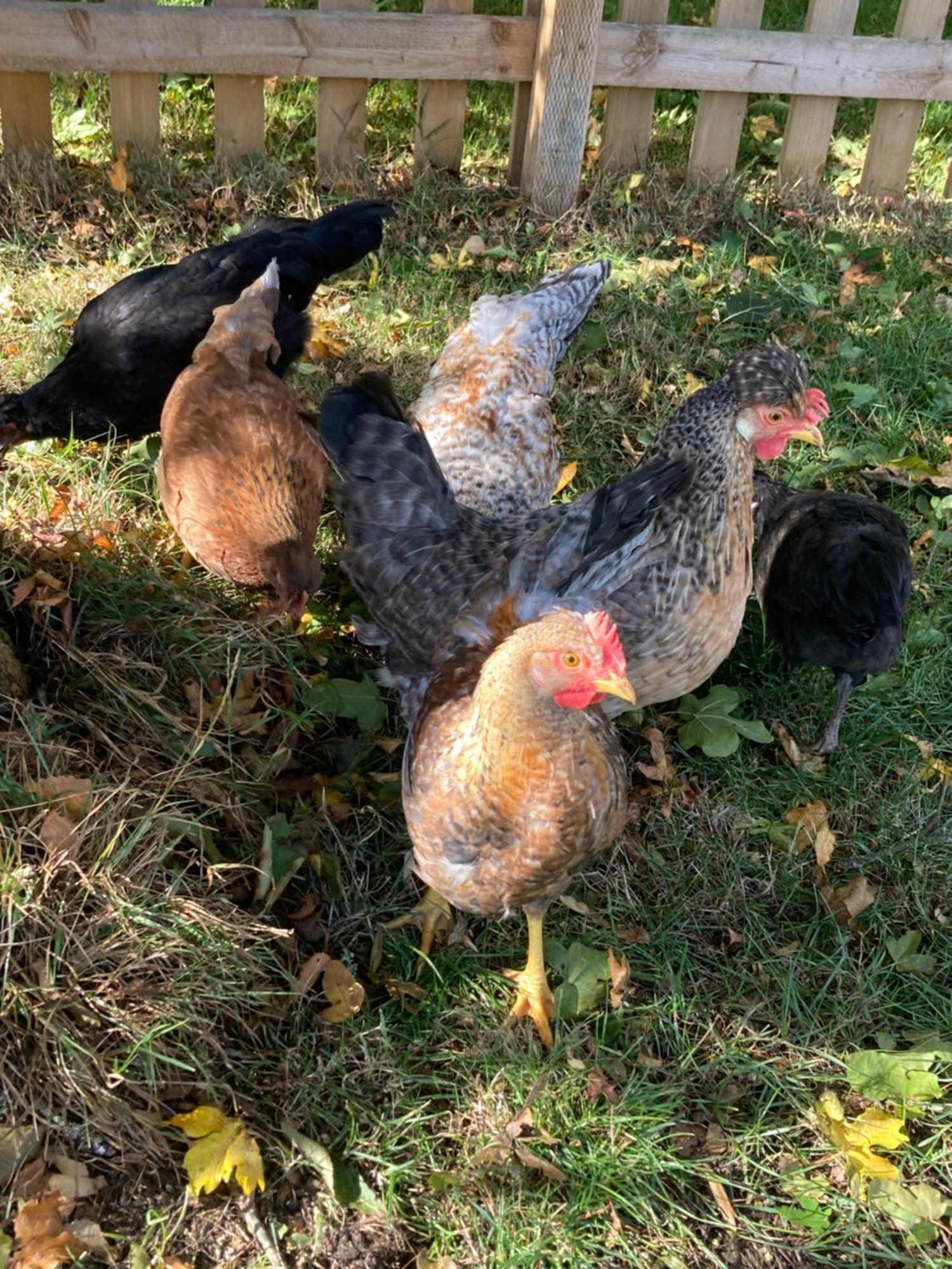 הוילה הרפורד Meadow Barn מראה חיצוני תמונה